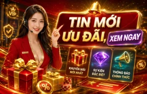 designsecrit tin tức 2026